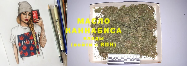 гидра Богданович