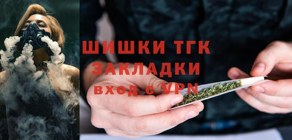 гидропоника Богородицк