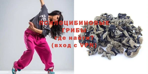 гидропоника Богородицк