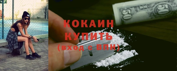 гидра Богданович