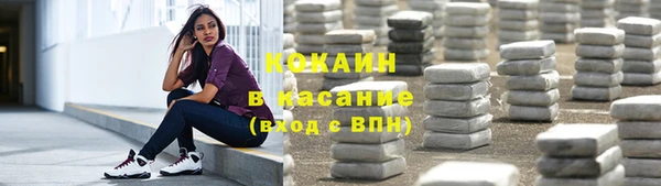 гидра Богданович