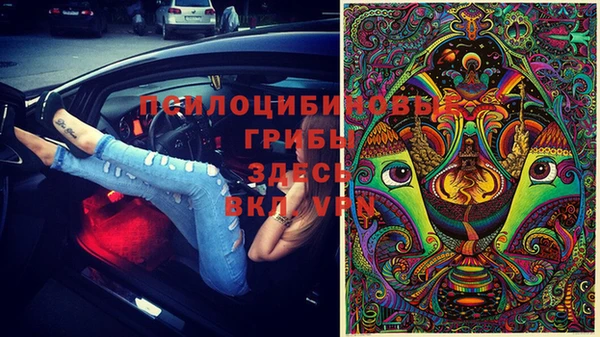 гидра Богданович