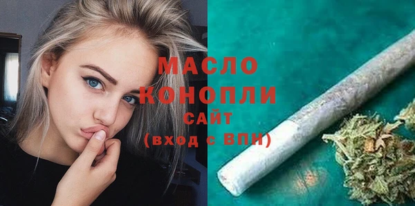 гидра Богданович