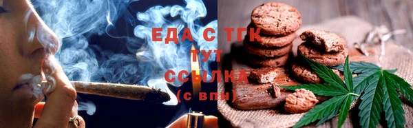 гидра Богданович